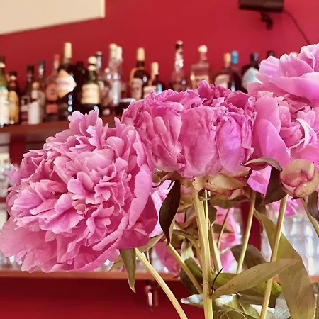 فندق Parkschloessl