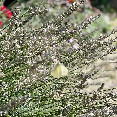 فندق Parkschloessl 3*