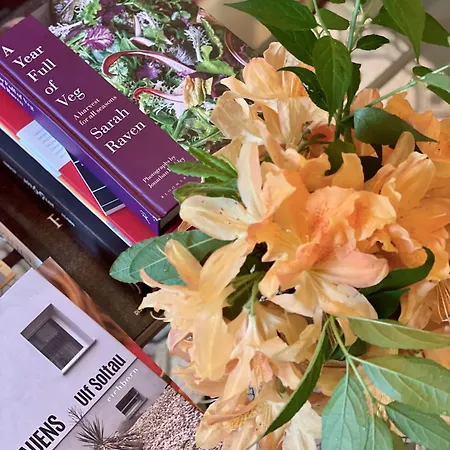 Parkschloessl فندق ميلستاف