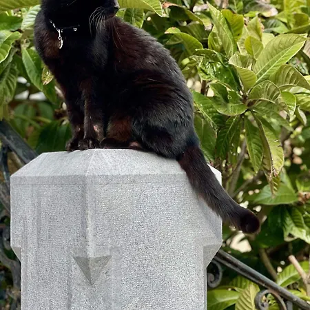 Parkschloessl فندق 3*