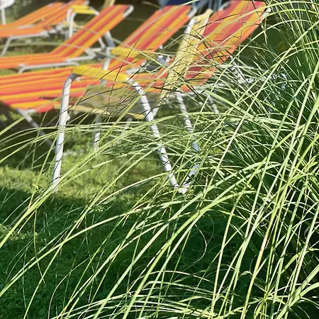 Parkschloessl 3* ميلستاف