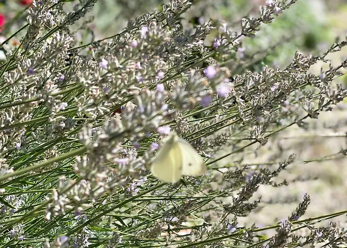 Hotel Parkschloessl 3*