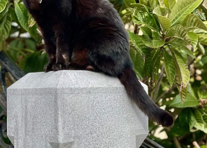 Parkschloessl Hotel 3*