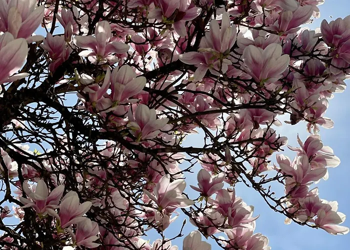 Hotel Parkschloessl Millstatt